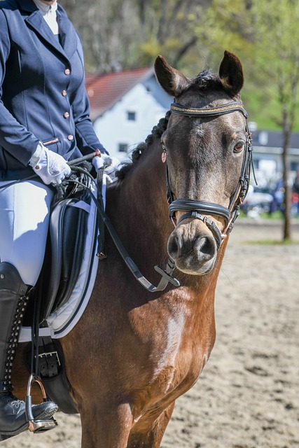 上谱写新的 上谱写新的