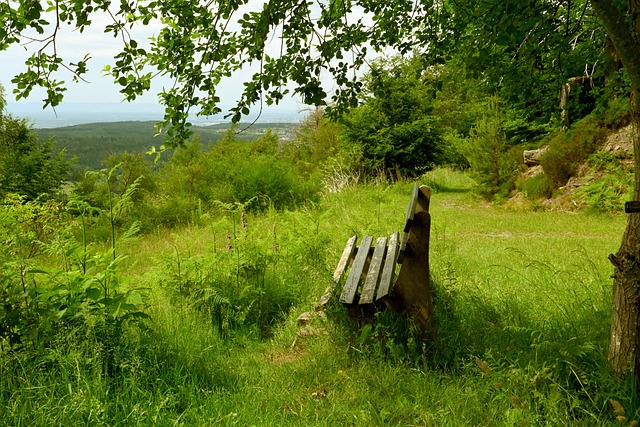 中国选手阿 中国选手阿