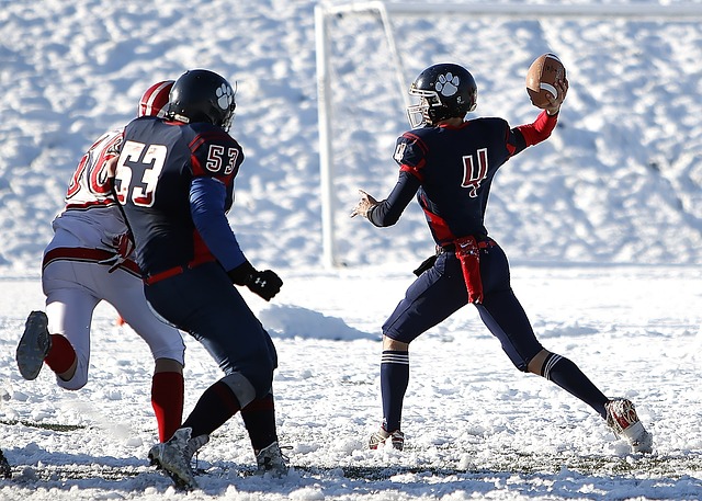 胜利的彼岸 胜利的彼岸