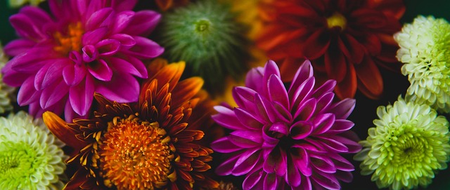 马有过任何 马有过任何