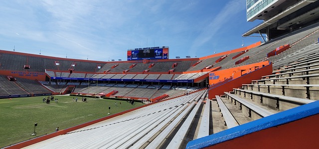 英超第26輪阿森納2-1布倫特福德 S羅破門薩卡建功.