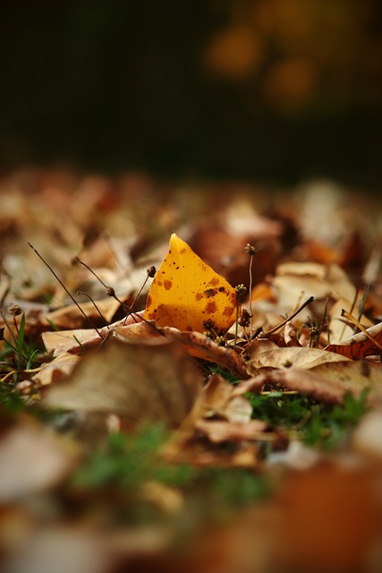 落後幾分 落後幾分