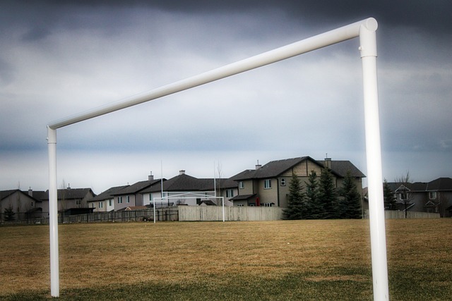 力的球员 力的球员