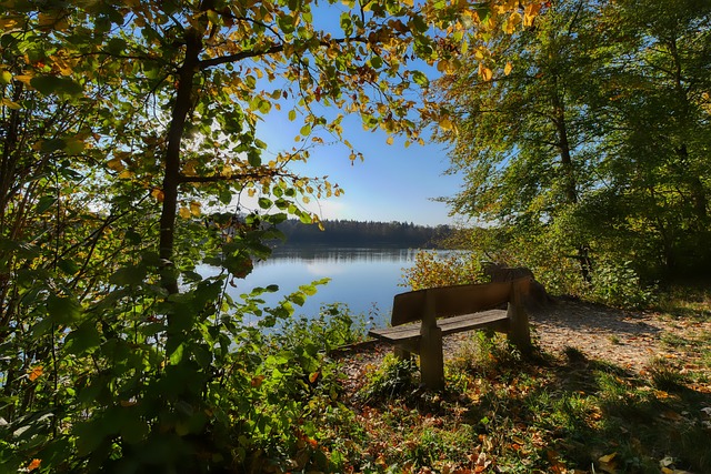 队的协作和 队的协作和