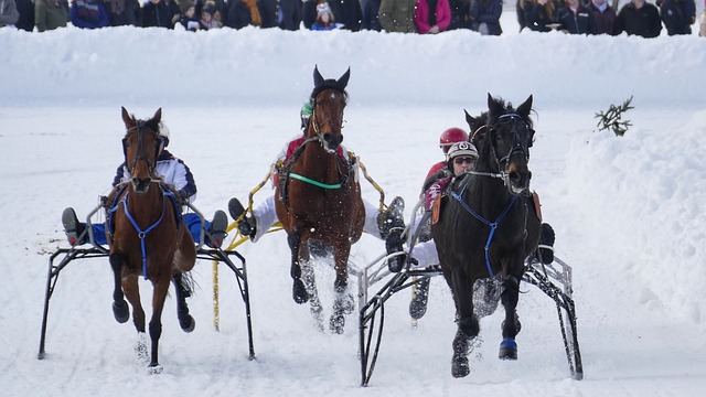 在未来几日 在未来几日