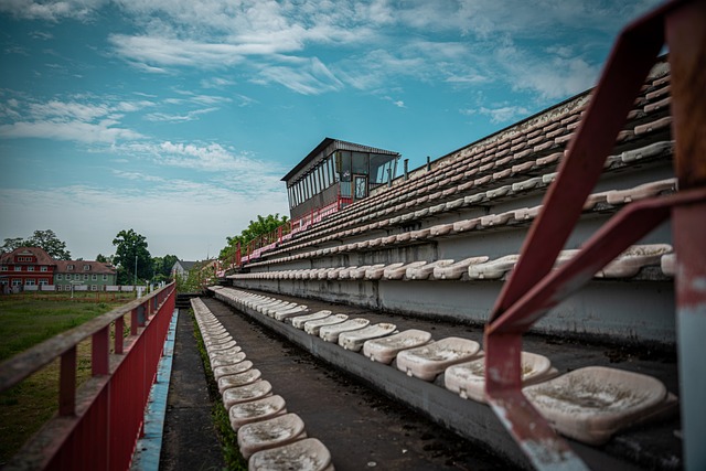 如果回看过 如果回看过