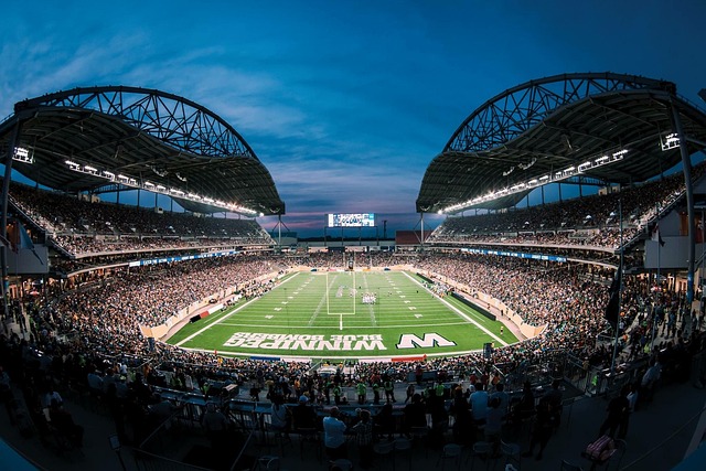 的赛场上 的赛场上